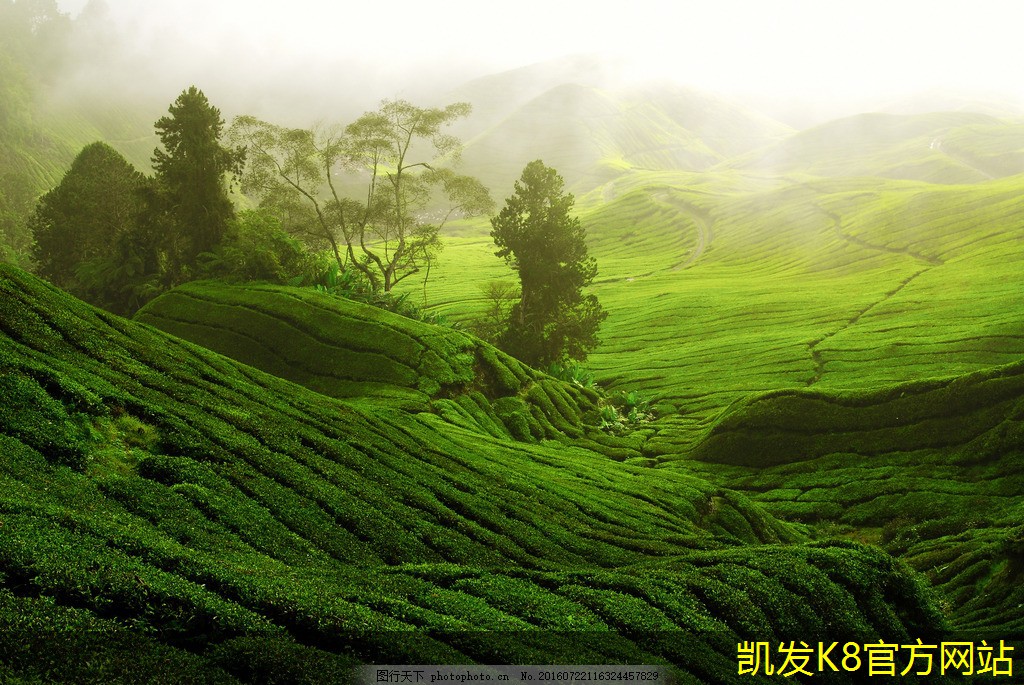 凱發(fā)K8官網(wǎng)平臺玻璃鋼護(hù)欄的設(shè)計(jì)靈感來源