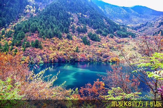 K8凱發(fā)官網(wǎng)入口首頁隔離帶型橋梁護(hù)欄的視