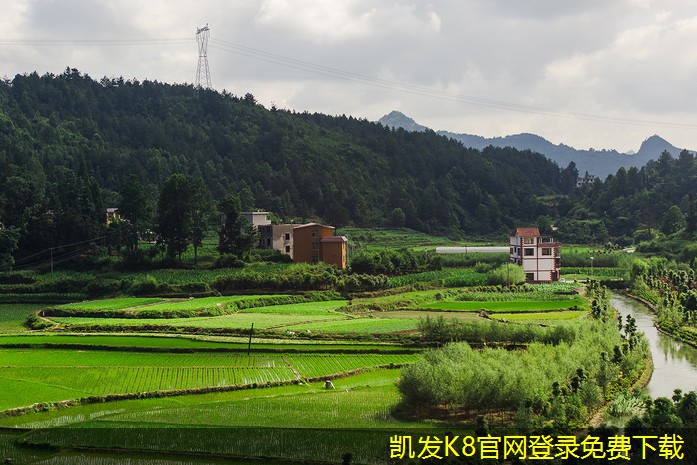 凱發(fā)k8國際廳登錄非金屬防撞護(hù)欄的市場前