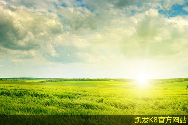 凱發(fā)K8官網(wǎng)地址非金屬防撞護欄的法律法規(guī)