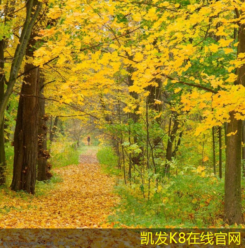 K8凱發(fā)app官網(wǎng)非金屬防撞護(hù)欄的視覺影