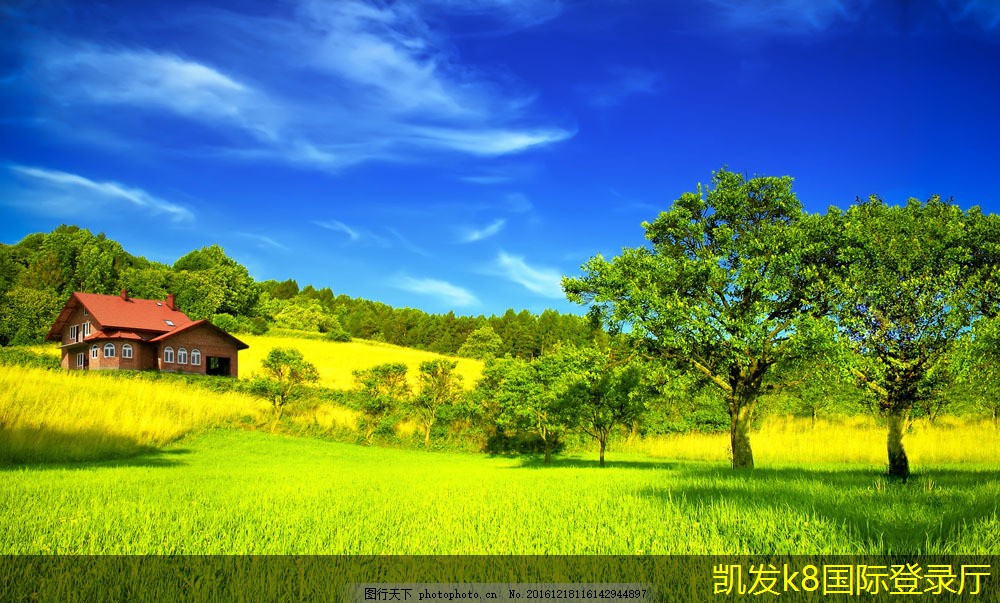 凱發(fā)k8國際(中國)官方網(wǎng)站高速公路橋梁