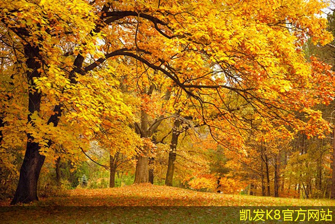 如何提升鐵路橋梁護欄的安全系數(shù)