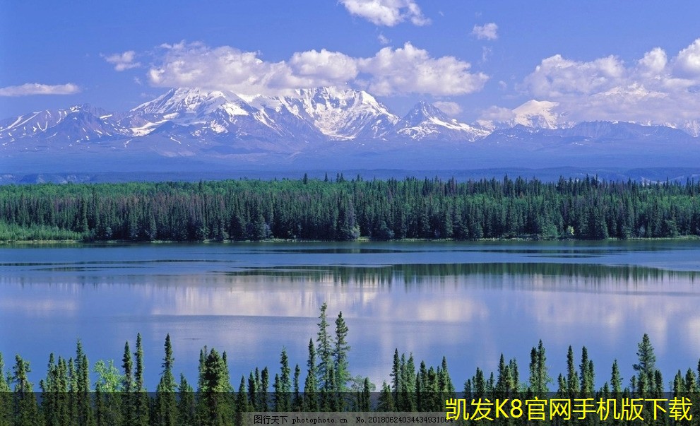 如何選擇合適的隔離帶型橋梁護(hù)欄