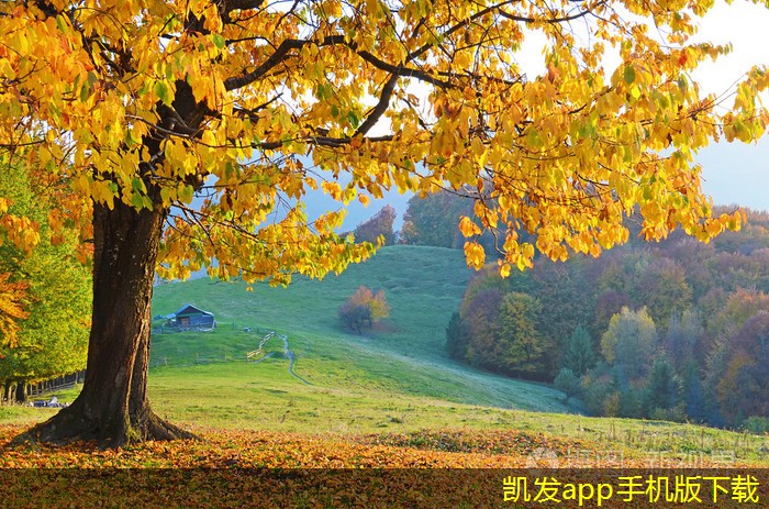 如何選擇適合機(jī)場的橋梁護(hù)欄
