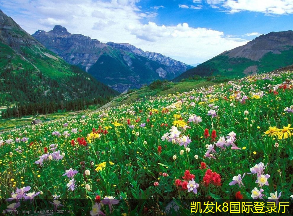 如何選擇適合的建筑護(hù)欄材料