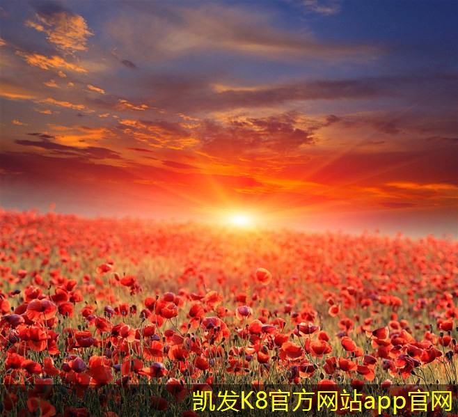 如何選購高質(zhì)量金屬防撞護(hù)欄