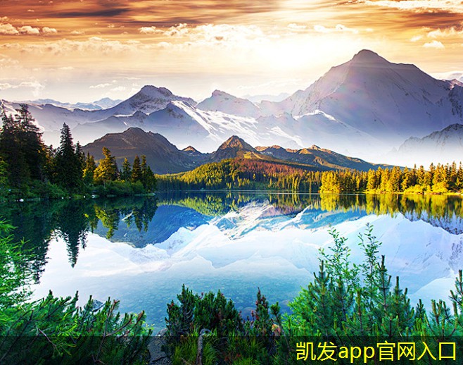 安全建筑護欄的標準規(guī)范