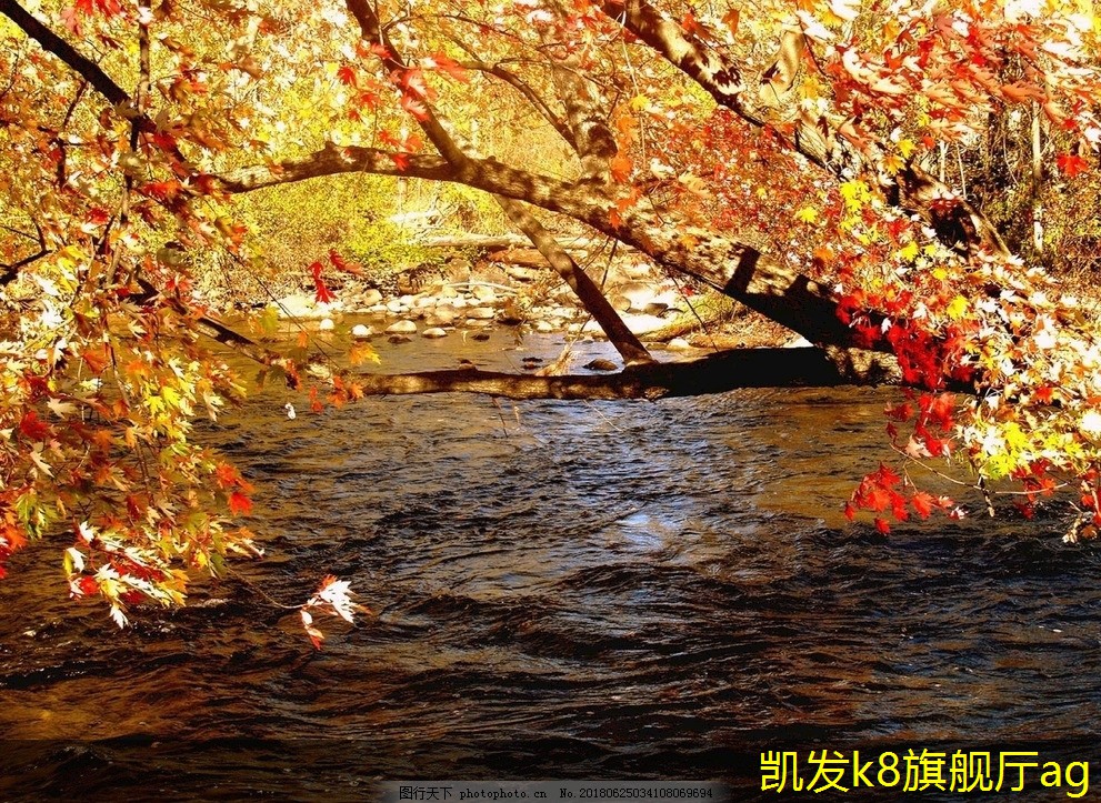 電動鐵路橋梁護欄的應(yīng)用探討
