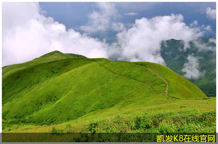 電池?zé)艄庾o(hù)欄在公共安全中的應(yīng)用