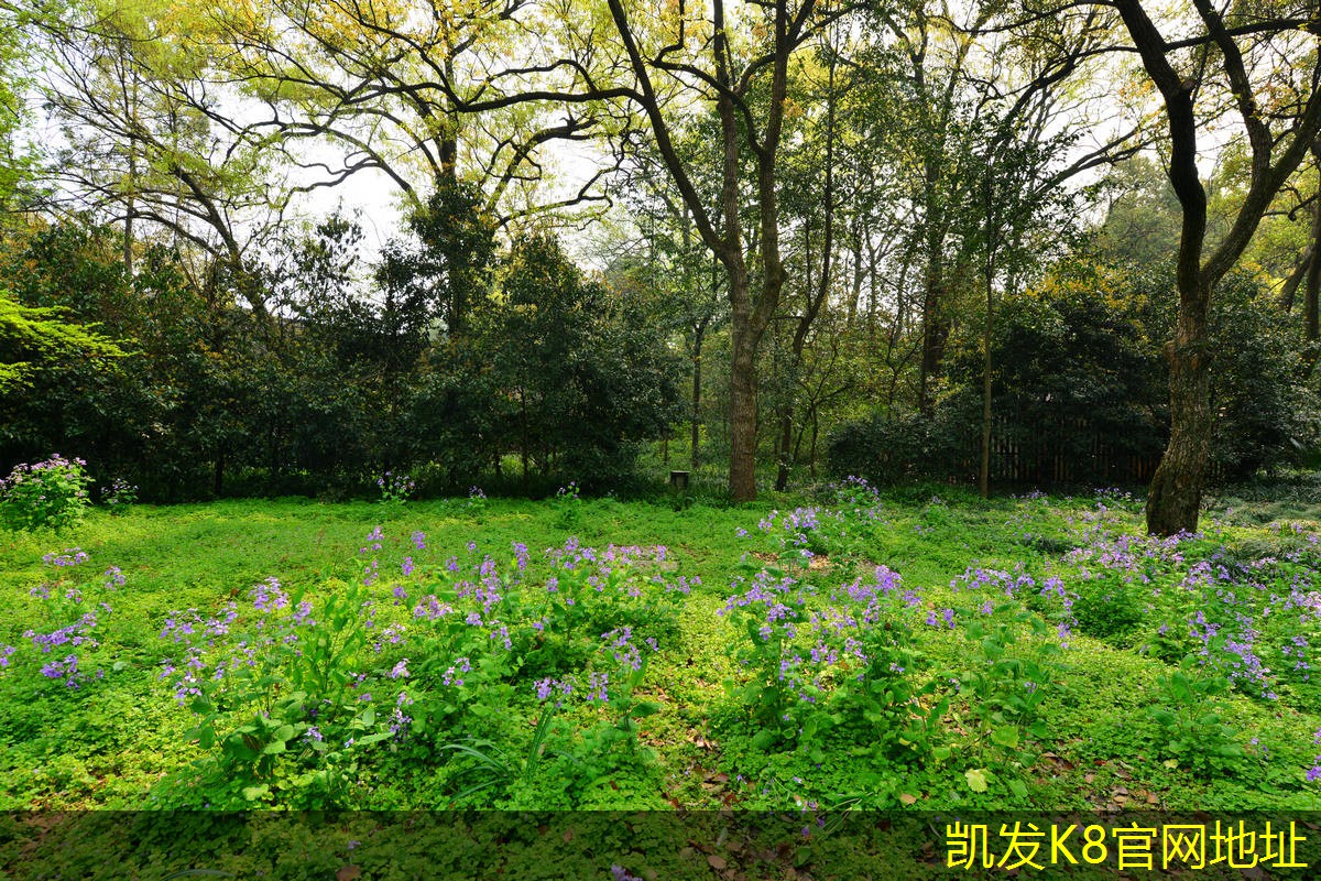 電池燈光護欄的定制服務(wù)優(yōu)勢