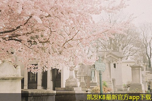 立柱型橋梁護欄的色彩搭配與視覺效果