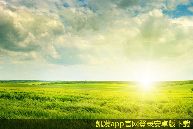 立柱型橋梁護(hù)欄的防撞性能研究