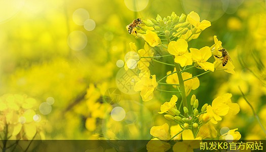 道路護欄與行人安全的關系