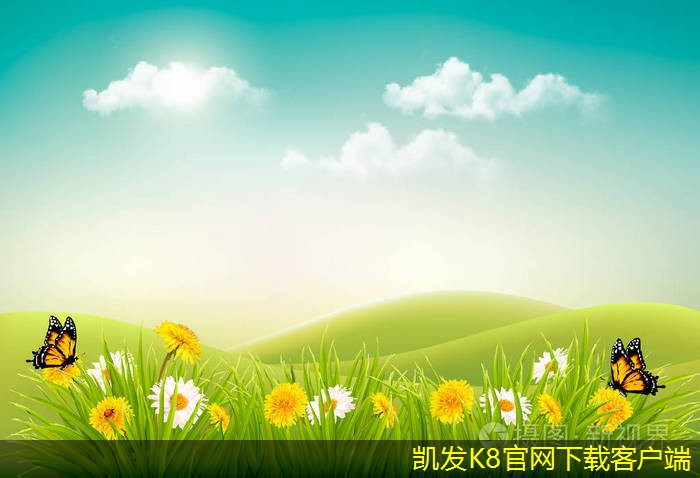 道路護欄的功能與設(shè)計原則