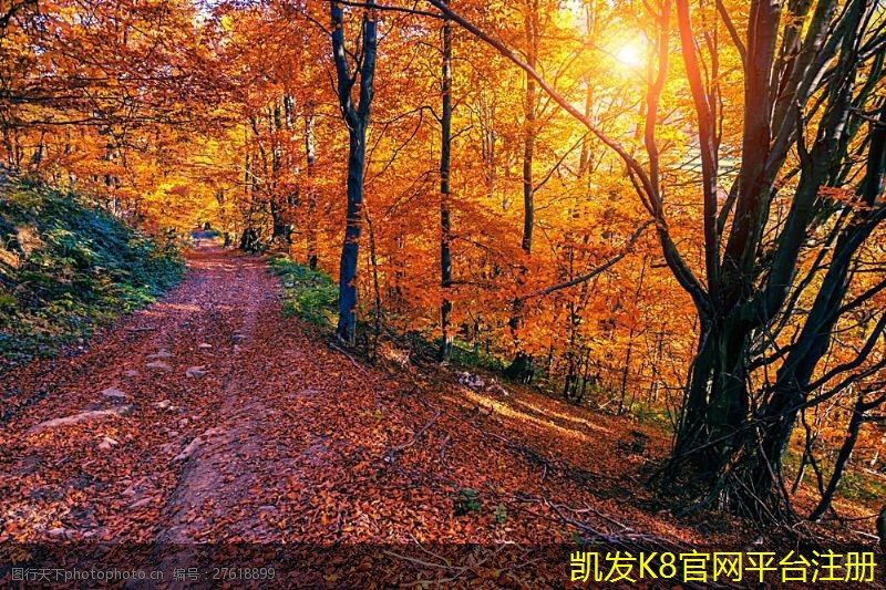 隔離帶型橋梁護欄的防銹處理技術(shù)