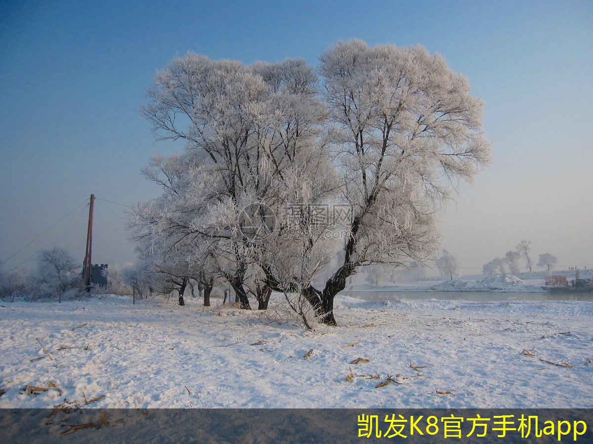 鐵路橋梁護(hù)欄的維護(hù)與保養(yǎng)
