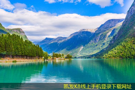 隔離帶型橋梁護(hù)欄在緊急情況下的應(yīng)對(duì)措施