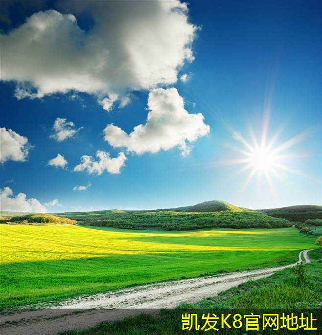 隔離帶型橋梁護欄的國際標準與趨勢