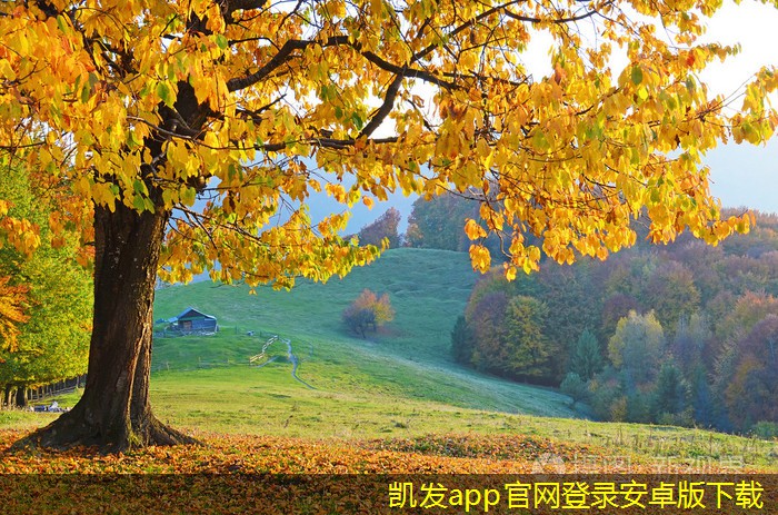 隔離帶型橋梁護欄的智能化發(fā)展前景