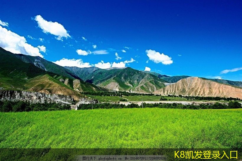 隔離帶型橋梁護欄的維護與保養(yǎng)技巧