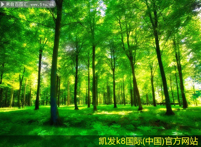 隔離帶型橋梁護(hù)欄設(shè)計中的人因工程考慮
