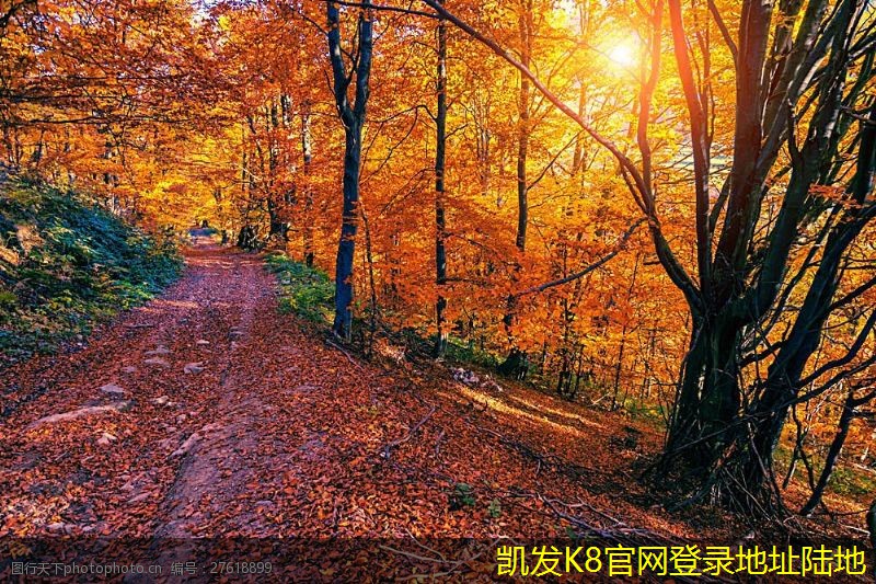 非金屬防撞護(hù)欄在住宅小區(qū)的應(yīng)用