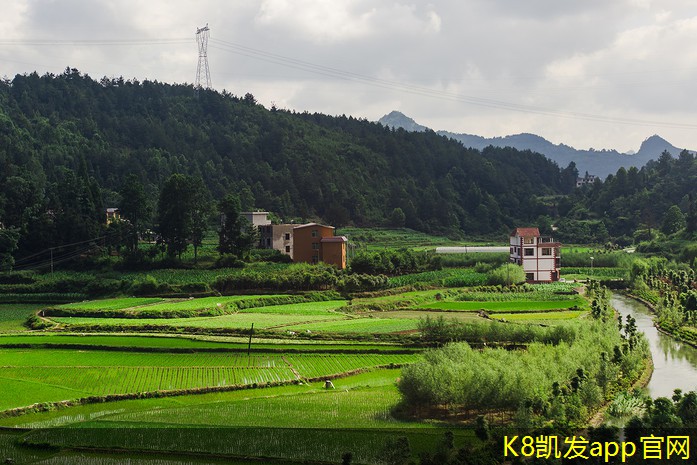 非金屬防撞護(hù)欄的市場前景分析