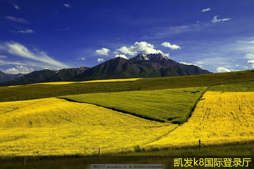 非金屬防撞護(hù)欄的常見(jiàn)問(wèn)題解答