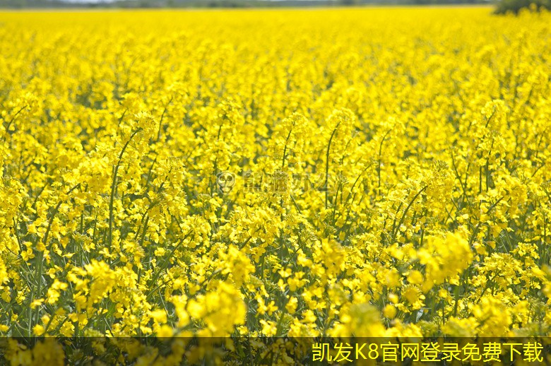 非金屬防撞護(hù)欄的選材注意事項